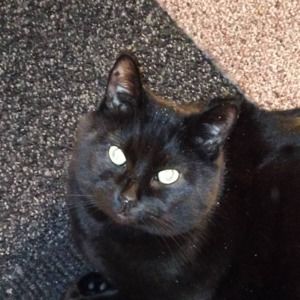 Meet your Posher, Greg